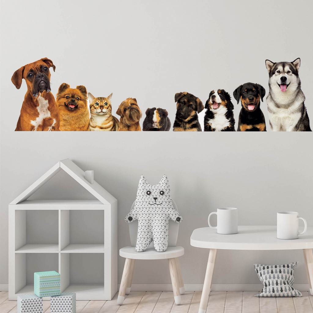 C30 #9 kucing lucu dan stiker  - Kids Education Quotes ulasan dan harga