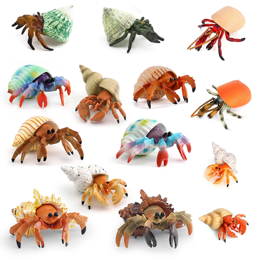 Patung Kepiting Pemalas Realis - Kids Education Picture ulasan dan harga