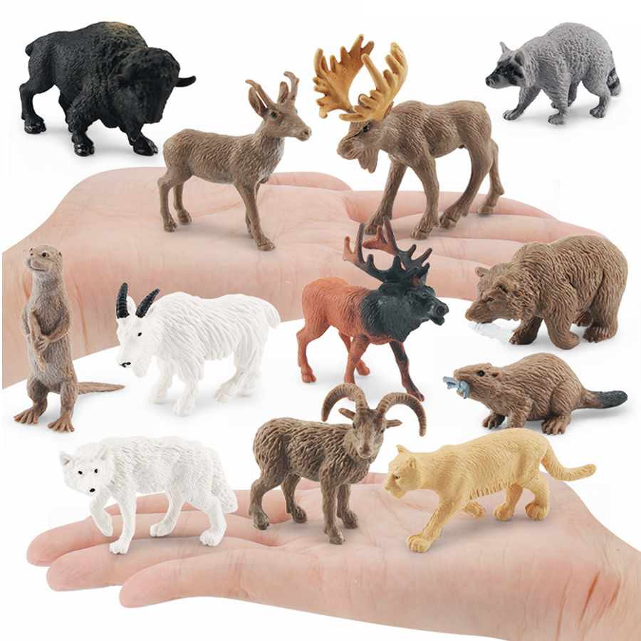 Figur Hewan Amerika Utara Real - Kids Education Picture ulasan dan harga